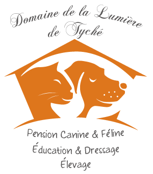 pension canine
